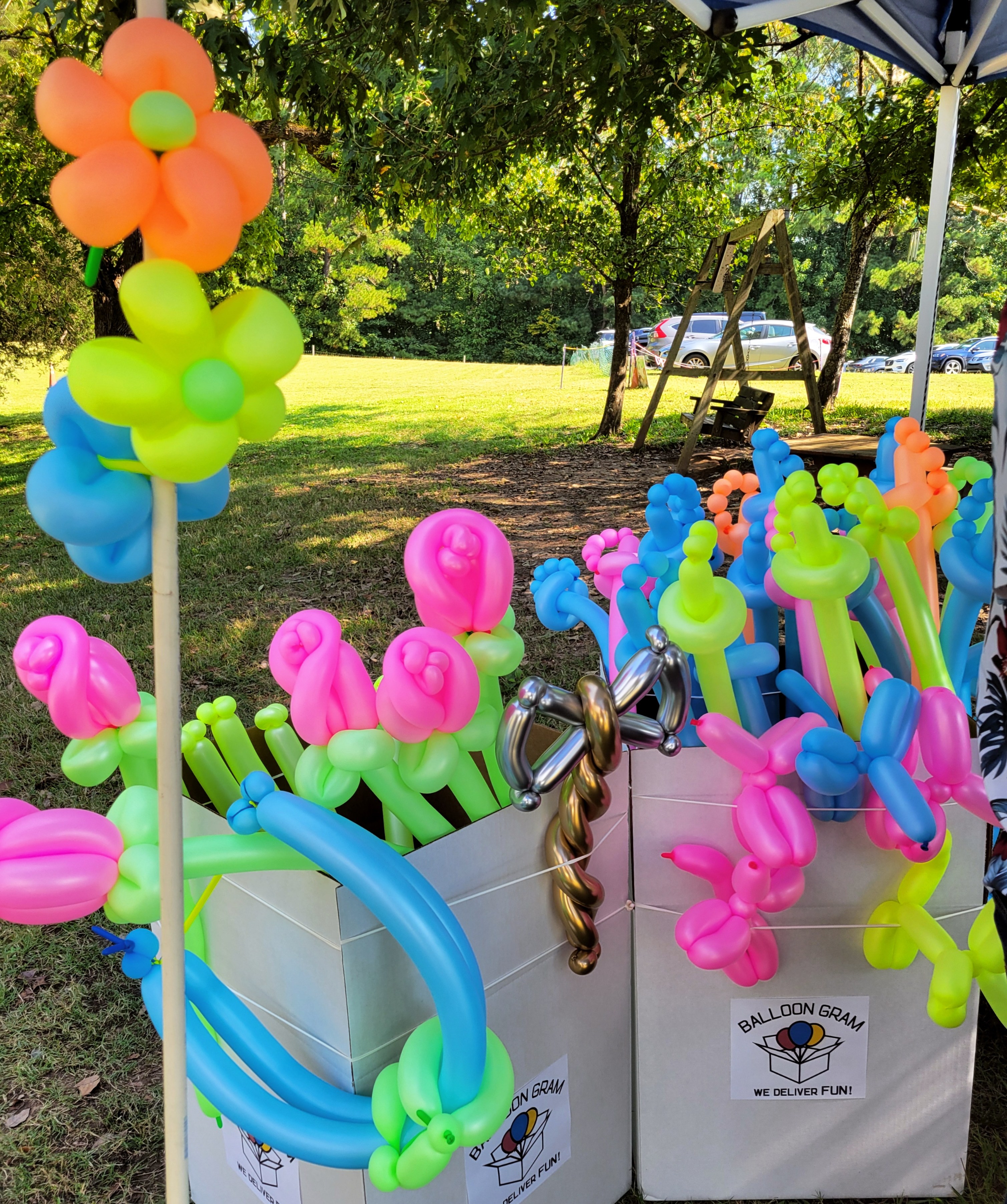 Balloon Twisting Entertainment in Raleigh
